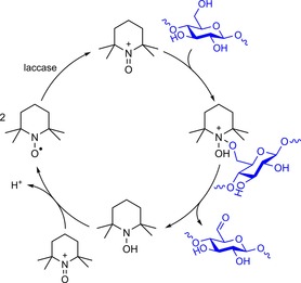 Scheme 16