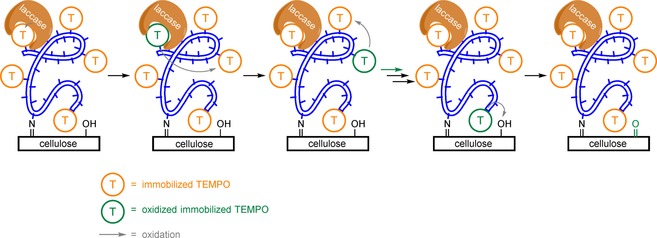 Scheme 18