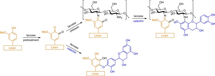 Scheme 12