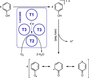 Scheme 3