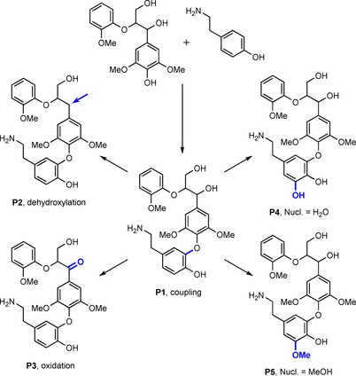 Scheme 6