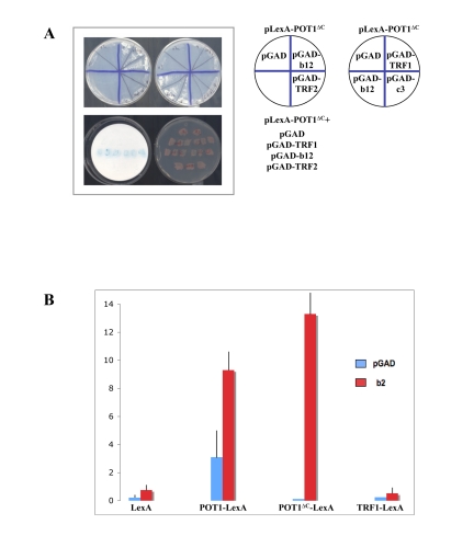 Figure 2.