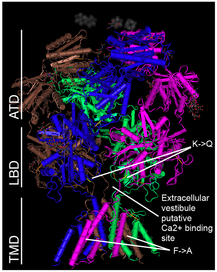 Figure 2.