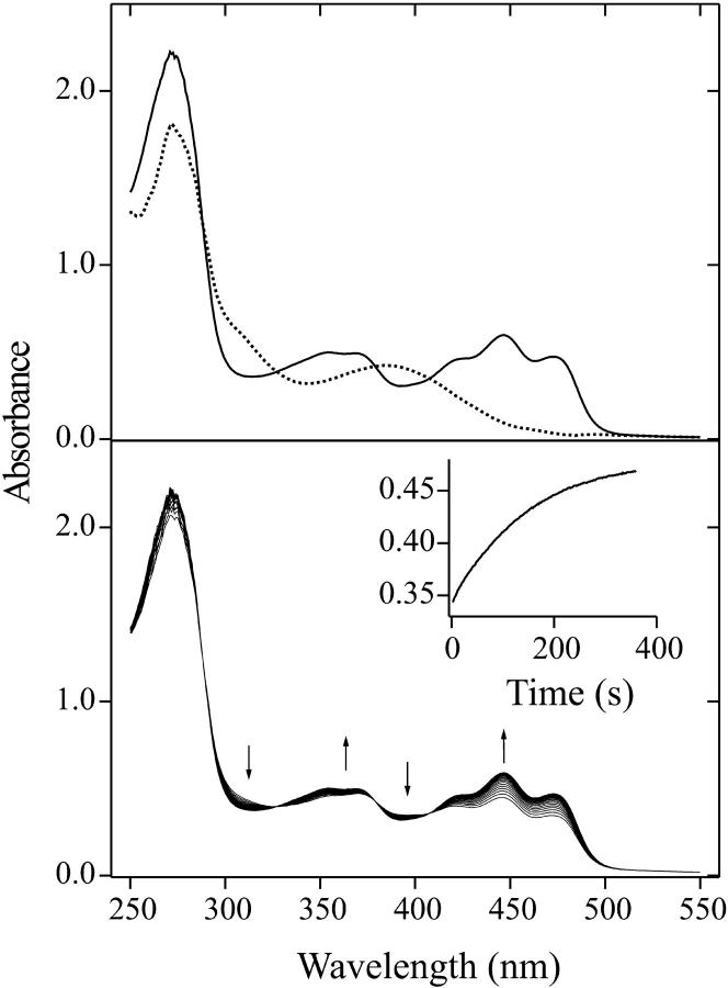 FIGURE 1