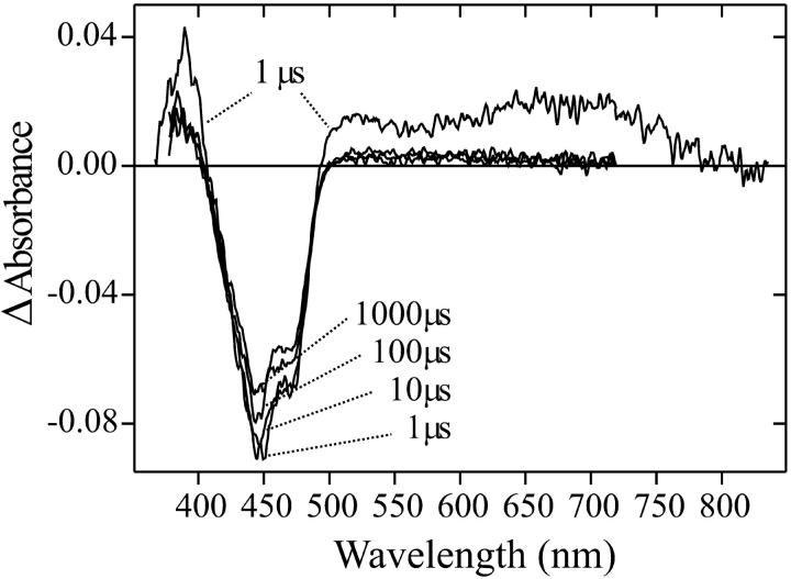 FIGURE 4