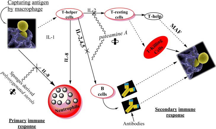 Fig. 6.