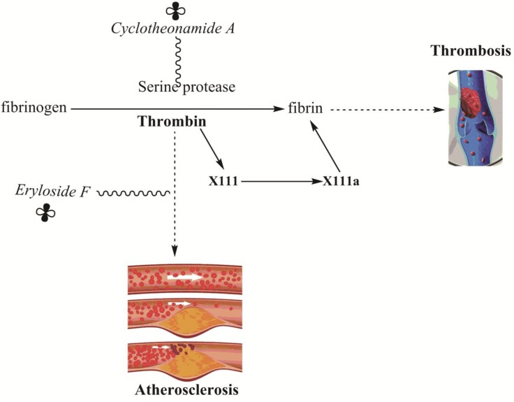 Fig. 7.