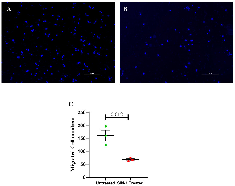 Figure 12