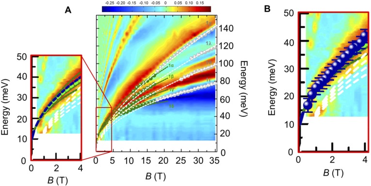 Fig. S5.