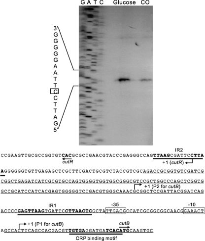 FIG. 5.