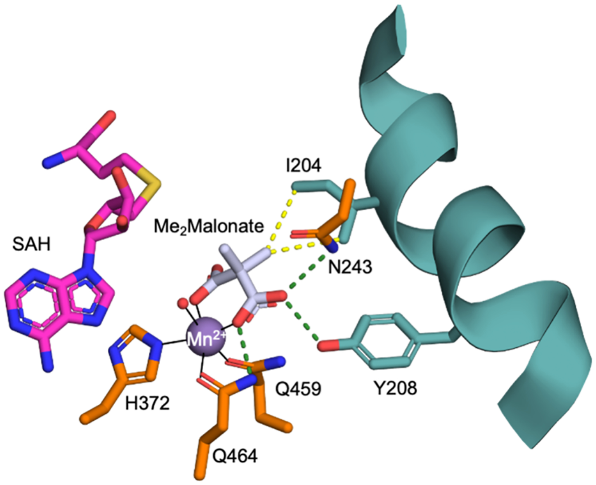 Figure 6.