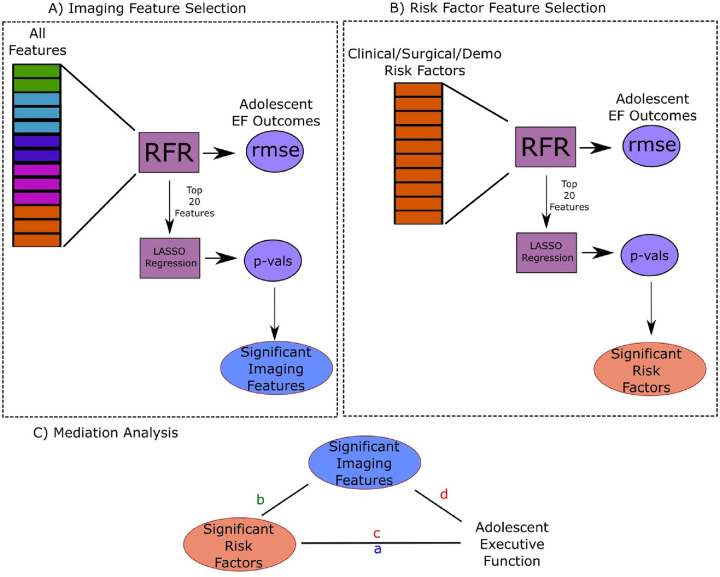 Figure 1B.