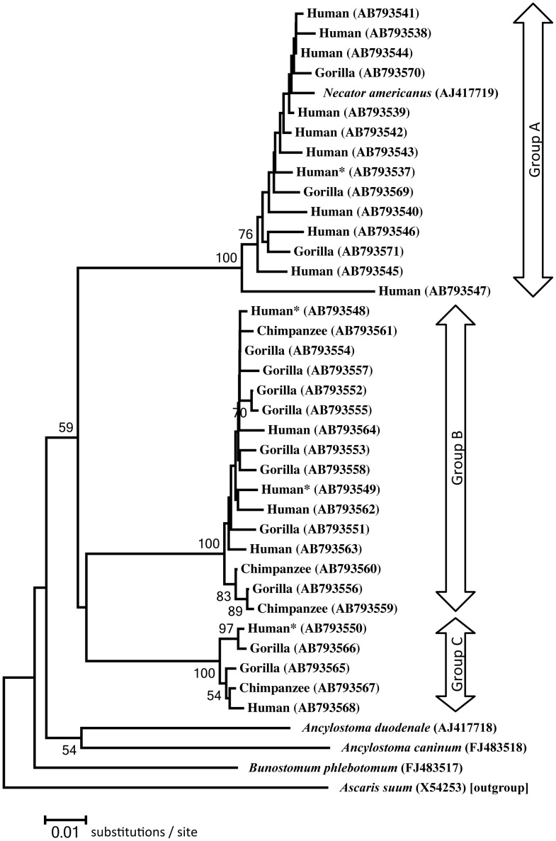 Figure 6