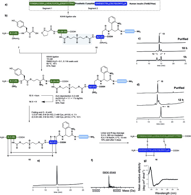 Scheme 4