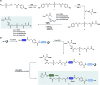 Scheme 2