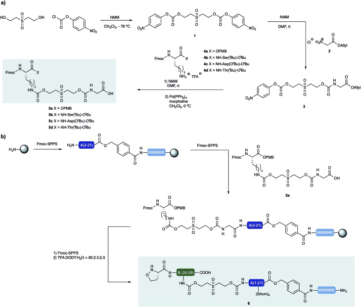 Scheme 2