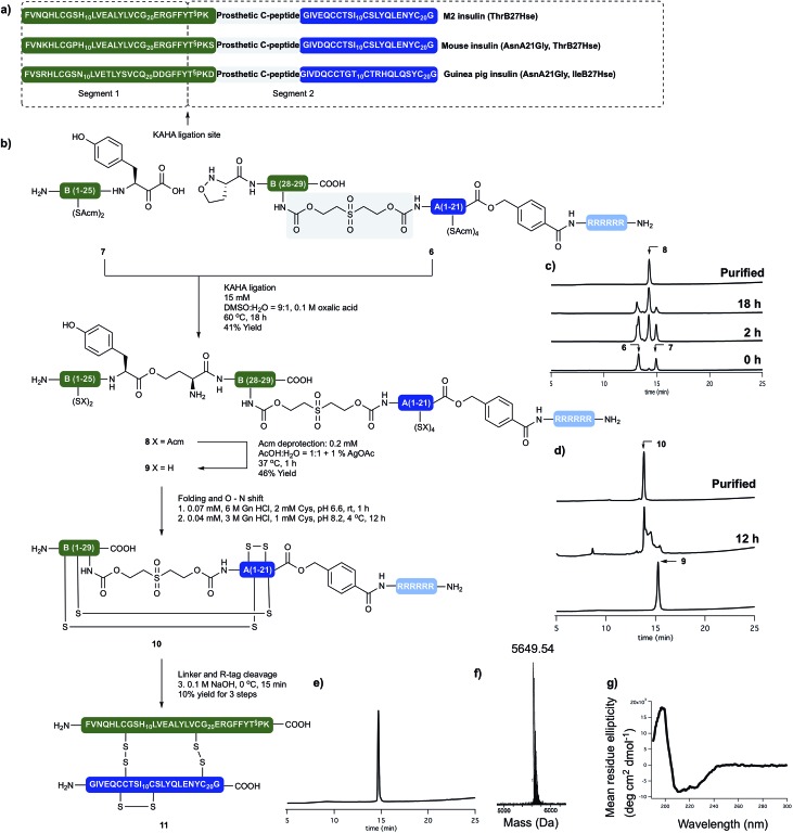 Scheme 3