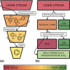 Scheme 9