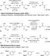 Scheme 11