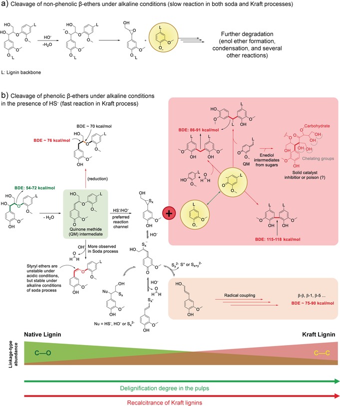 Scheme 6