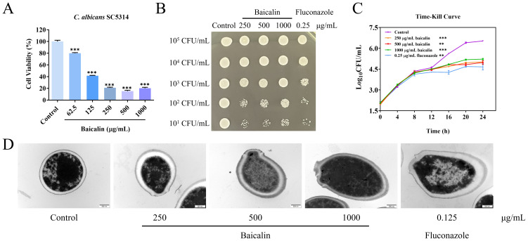 Figure 1