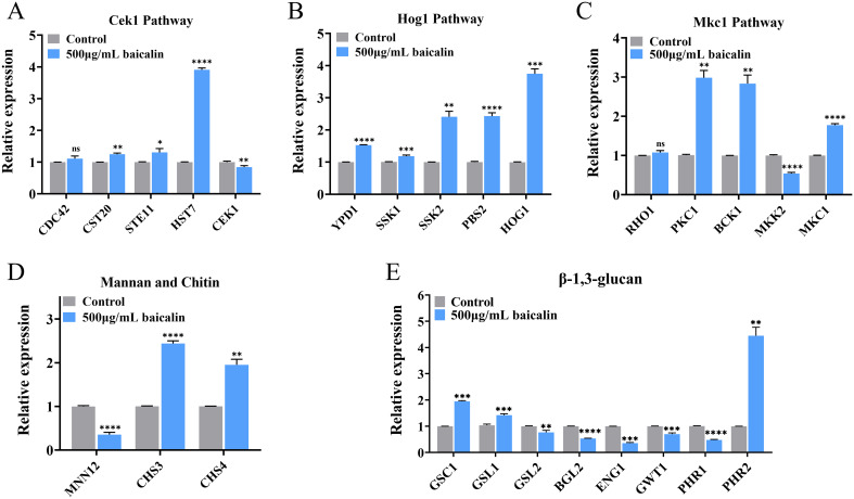 Figure 4