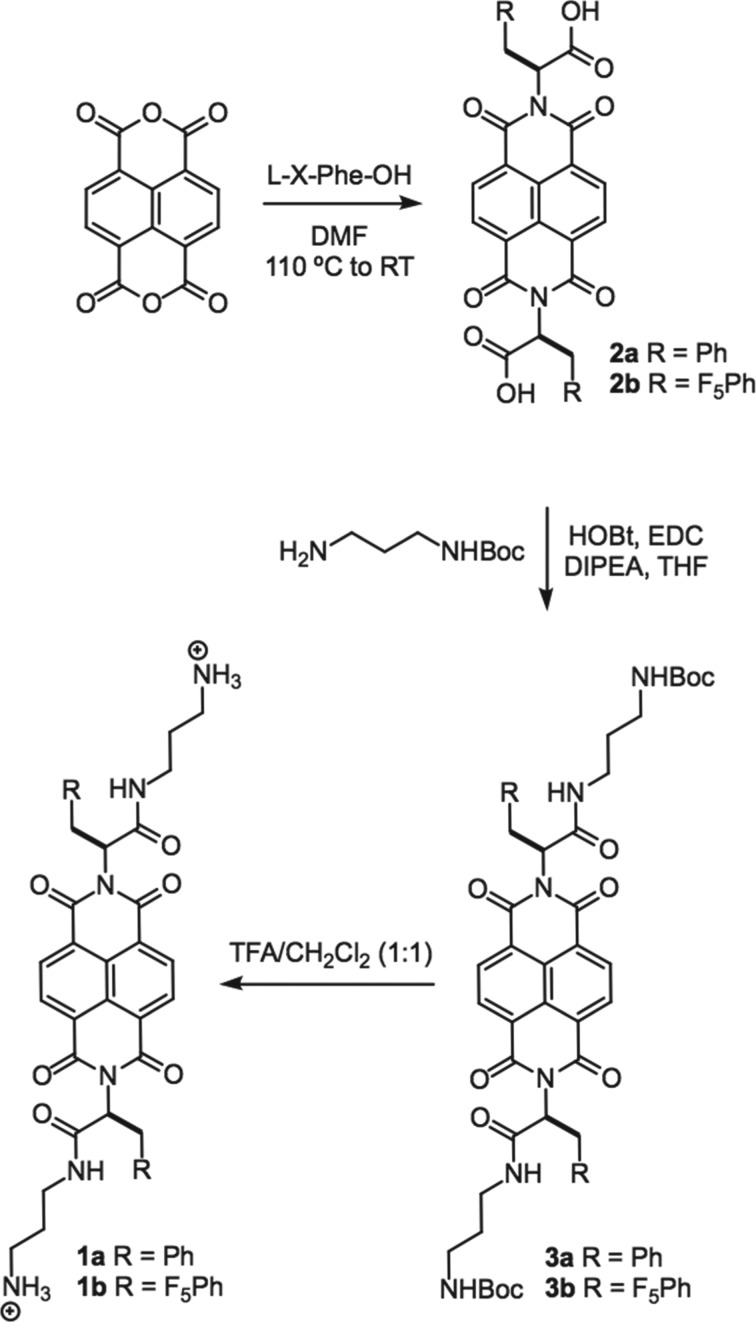 Scheme 1.