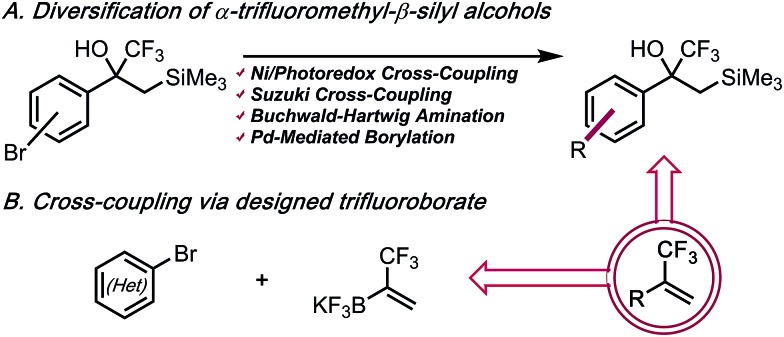 Scheme 2