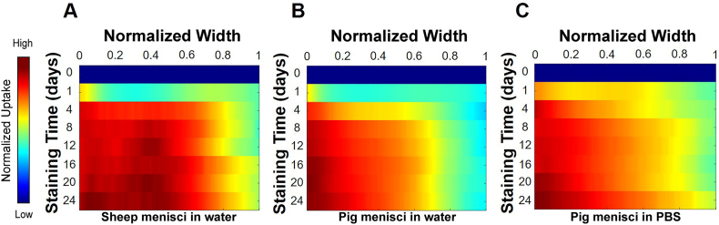 Fig. 7