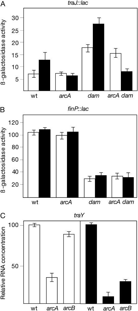 Figure 3.—