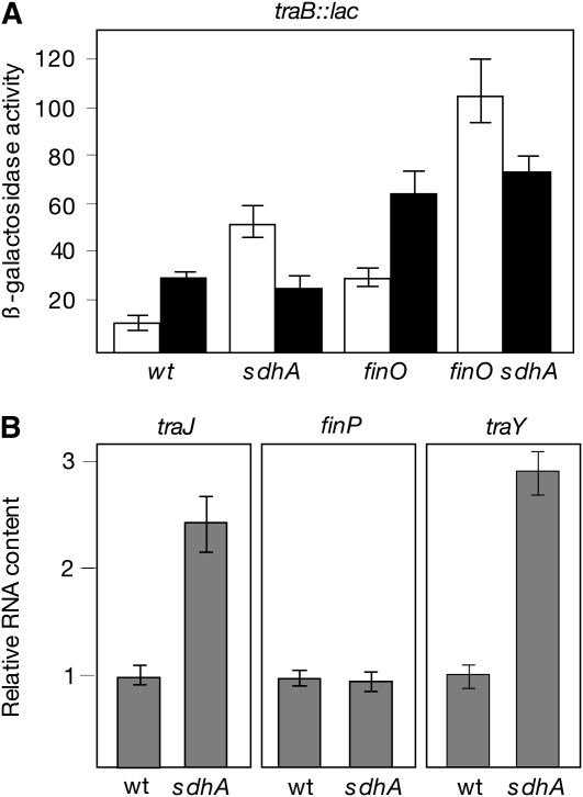 Figure 5.—