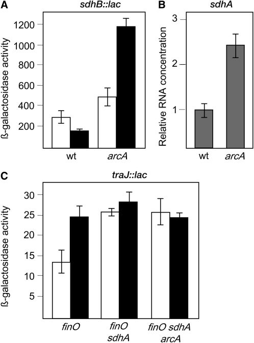 Figure 7.—