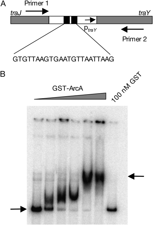 Figure 4.—