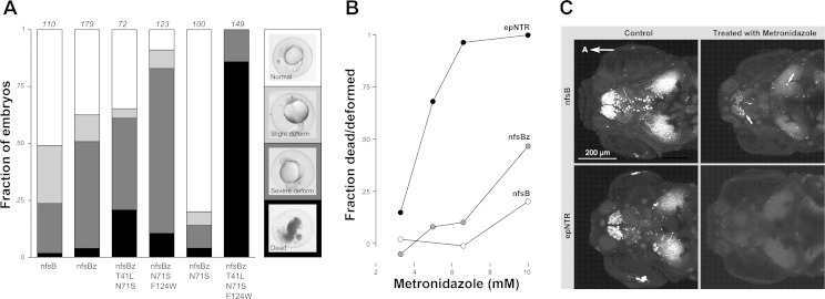 Fig. 5.