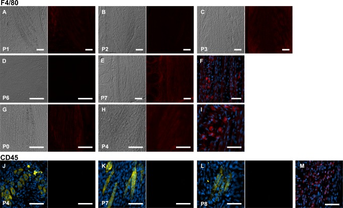 Figure 3—figure supplement 3.