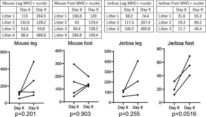 Figure 2—figure supplement 2.