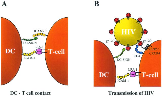 FIG. 6.