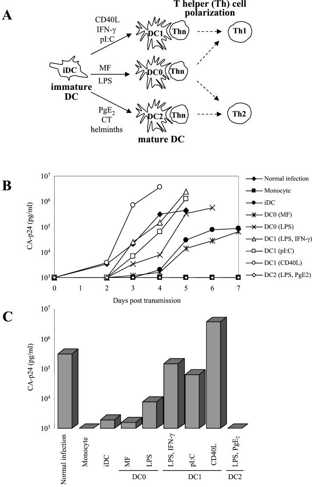 FIG. 1.