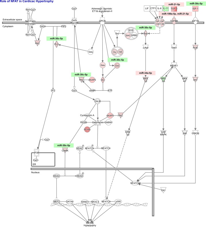 Fig. 7.