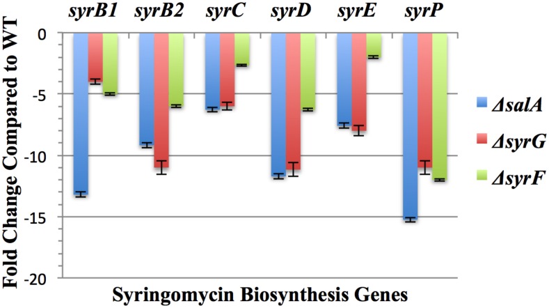 Fig 6