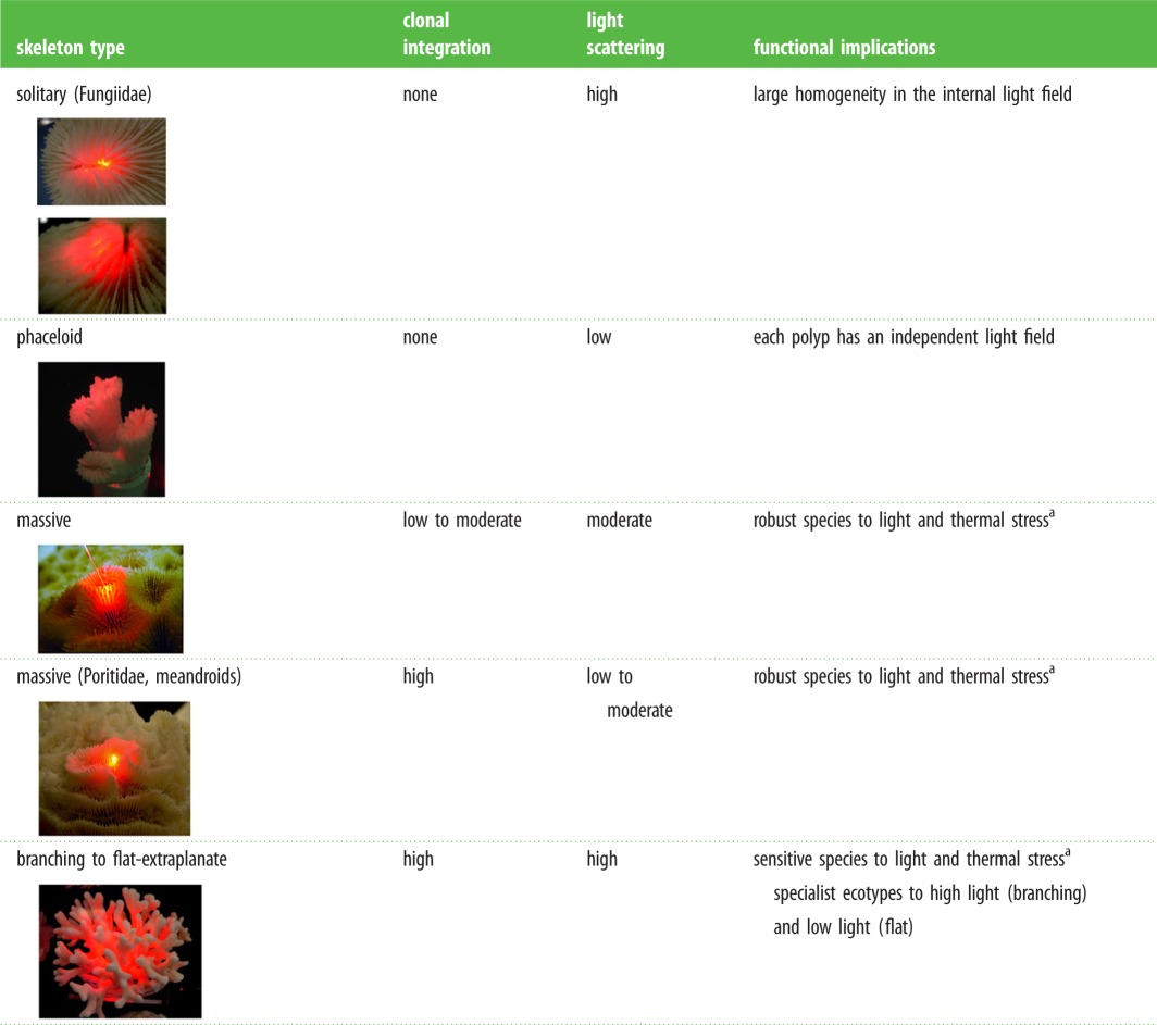 graphic file with name rspb20161667-i1.jpg