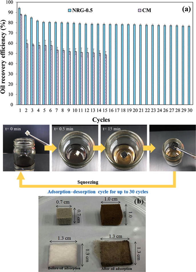 Fig. 10