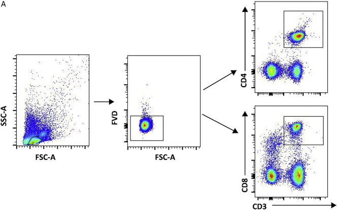 Supplementary Fig. 1