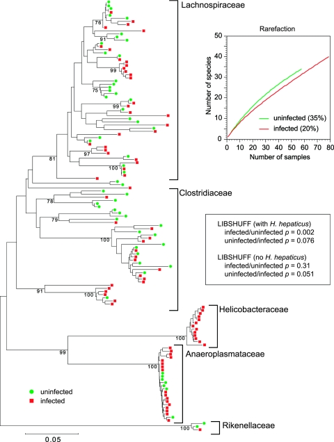 FIG.3.