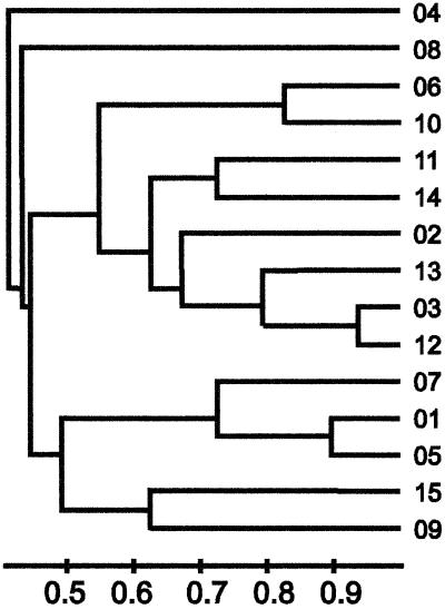 FIG. 2.