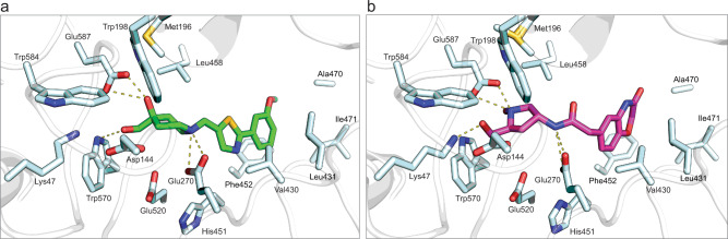 Fig. 7