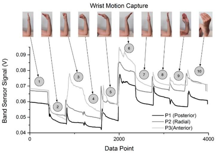 Figure 12