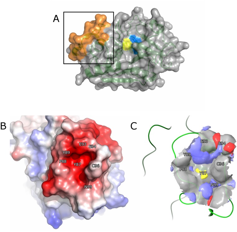 Fig 1