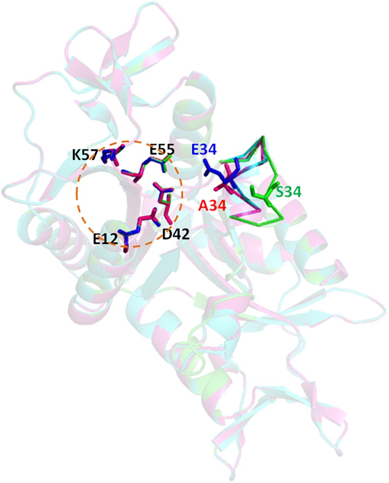 FIGURE 4