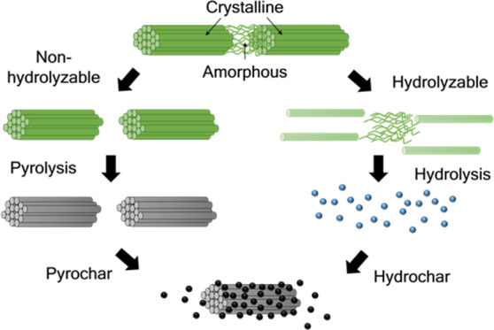 Structural Effects of Cellulose on Hydrolysis and Carbonization ...